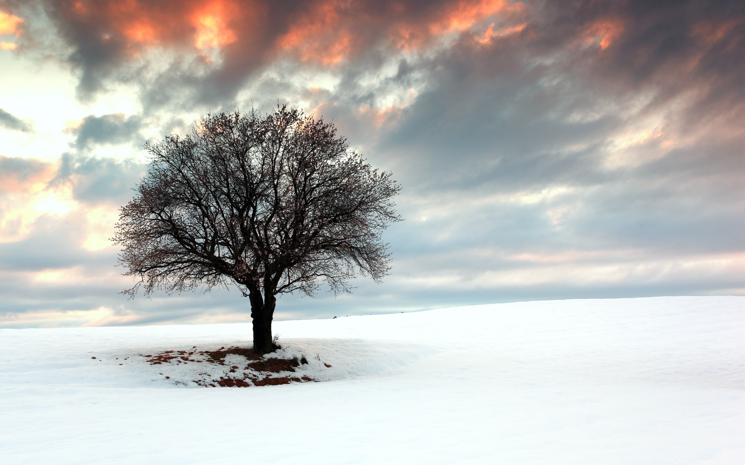 世界举重康复名师驻点教学第150站成果汇编发布,世界举重冠军排名